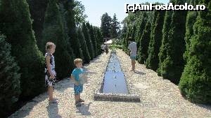 [P05] Bazin mărginit de 'soldaţi' vegetali » foto by crismis
 - 
<span class="allrVoted glyphicon glyphicon-heart hidden" id="av705189"></span>
<a class="m-l-10 hidden" id="sv705189" onclick="voting_Foto_DelVot(,705189,13043)" role="button">șterge vot <span class="glyphicon glyphicon-remove"></span></a>
<a id="v9705189" class=" c-red"  onclick="voting_Foto_SetVot(705189)" role="button"><span class="glyphicon glyphicon-heart-empty"></span> <b>LIKE</b> = Votează poza</a> <img class="hidden"  id="f705189W9" src="/imagini/loader.gif" border="0" /><span class="AjErrMes hidden" id="e705189ErM"></span>