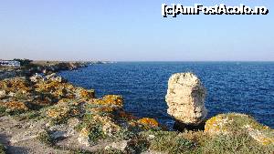 [P51] Tyulenovo » foto by crismis
 - 
<span class="allrVoted glyphicon glyphicon-heart hidden" id="av705235"></span>
<a class="m-l-10 hidden" id="sv705235" onclick="voting_Foto_DelVot(,705235,13043)" role="button">șterge vot <span class="glyphicon glyphicon-remove"></span></a>
<a id="v9705235" class=" c-red"  onclick="voting_Foto_SetVot(705235)" role="button"><span class="glyphicon glyphicon-heart-empty"></span> <b>LIKE</b> = Votează poza</a> <img class="hidden"  id="f705235W9" src="/imagini/loader.gif" border="0" /><span class="AjErrMes hidden" id="e705235ErM"></span>