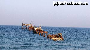 [P55] 'Fierătania' din largul mării (zoom)  » foto by crismis
 - 
<span class="allrVoted glyphicon glyphicon-heart hidden" id="av705239"></span>
<a class="m-l-10 hidden" id="sv705239" onclick="voting_Foto_DelVot(,705239,13043)" role="button">șterge vot <span class="glyphicon glyphicon-remove"></span></a>
<a id="v9705239" class=" c-red"  onclick="voting_Foto_SetVot(705239)" role="button"><span class="glyphicon glyphicon-heart-empty"></span> <b>LIKE</b> = Votează poza</a> <img class="hidden"  id="f705239W9" src="/imagini/loader.gif" border="0" /><span class="AjErrMes hidden" id="e705239ErM"></span>