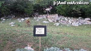 [P60] Situl arheologic înglobat în resort » foto by crismis
 - 
<span class="allrVoted glyphicon glyphicon-heart hidden" id="av705244"></span>
<a class="m-l-10 hidden" id="sv705244" onclick="voting_Foto_DelVot(,705244,13043)" role="button">șterge vot <span class="glyphicon glyphicon-remove"></span></a>
<a id="v9705244" class=" c-red"  onclick="voting_Foto_SetVot(705244)" role="button"><span class="glyphicon glyphicon-heart-empty"></span> <b>LIKE</b> = Votează poza</a> <img class="hidden"  id="f705244W9" src="/imagini/loader.gif" border="0" /><span class="AjErrMes hidden" id="e705244ErM"></span>