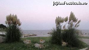 [P75] Pa, Rusalka!  » foto by crismis
 - 
<span class="allrVoted glyphicon glyphicon-heart hidden" id="av705259"></span>
<a class="m-l-10 hidden" id="sv705259" onclick="voting_Foto_DelVot(,705259,13043)" role="button">șterge vot <span class="glyphicon glyphicon-remove"></span></a>
<a id="v9705259" class=" c-red"  onclick="voting_Foto_SetVot(705259)" role="button"><span class="glyphicon glyphicon-heart-empty"></span> <b>LIKE</b> = Votează poza</a> <img class="hidden"  id="f705259W9" src="/imagini/loader.gif" border="0" /><span class="AjErrMes hidden" id="e705259ErM"></span>