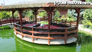 [P76] Restaurantul 'Raţa Sălbatică' » foto by crismis
 - 
<span class="allrVoted glyphicon glyphicon-heart hidden" id="av705260"></span>
<a class="m-l-10 hidden" id="sv705260" onclick="voting_Foto_DelVot(,705260,13043)" role="button">șterge vot <span class="glyphicon glyphicon-remove"></span></a>
<a id="v9705260" class=" c-red"  onclick="voting_Foto_SetVot(705260)" role="button"><span class="glyphicon glyphicon-heart-empty"></span> <b>LIKE</b> = Votează poza</a> <img class="hidden"  id="f705260W9" src="/imagini/loader.gif" border="0" /><span class="AjErrMes hidden" id="e705260ErM"></span>