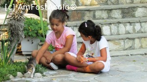 [P14]  :)  » foto by crismis
 - 
<span class="allrVoted glyphicon glyphicon-heart hidden" id="av705741"></span>
<a class="m-l-10 hidden" id="sv705741" onclick="voting_Foto_DelVot(,705741,13047)" role="button">șterge vot <span class="glyphicon glyphicon-remove"></span></a>
<a id="v9705741" class=" c-red"  onclick="voting_Foto_SetVot(705741)" role="button"><span class="glyphicon glyphicon-heart-empty"></span> <b>LIKE</b> = Votează poza</a> <img class="hidden"  id="f705741W9" src="/imagini/loader.gif" border="0" /><span class="AjErrMes hidden" id="e705741ErM"></span>