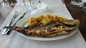 [P20] Cartofii erau delicioşi!  » foto by crismis
 - 
<span class="allrVoted glyphicon glyphicon-heart hidden" id="av705747"></span>
<a class="m-l-10 hidden" id="sv705747" onclick="voting_Foto_DelVot(,705747,13047)" role="button">șterge vot <span class="glyphicon glyphicon-remove"></span></a>
<a id="v9705747" class=" c-red"  onclick="voting_Foto_SetVot(705747)" role="button"><span class="glyphicon glyphicon-heart-empty"></span> <b>LIKE</b> = Votează poza</a> <img class="hidden"  id="f705747W9" src="/imagini/loader.gif" border="0" /><span class="AjErrMes hidden" id="e705747ErM"></span>