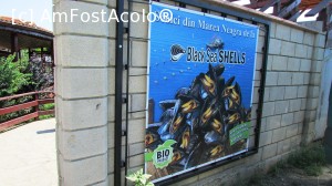 [P26]  -- <small>// FĂRĂ DESCRIERE</small> » foto by crismis
 - 
<span class="allrVoted glyphicon glyphicon-heart hidden" id="av705753"></span>
<a class="m-l-10 hidden" id="sv705753" onclick="voting_Foto_DelVot(,705753,13047)" role="button">șterge vot <span class="glyphicon glyphicon-remove"></span></a>
<a id="v9705753" class=" c-red"  onclick="voting_Foto_SetVot(705753)" role="button"><span class="glyphicon glyphicon-heart-empty"></span> <b>LIKE</b> = Votează poza</a> <img class="hidden"  id="f705753W9" src="/imagini/loader.gif" border="0" /><span class="AjErrMes hidden" id="e705753ErM"></span>