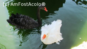 [P34]  :)  » foto by crismis
 - 
<span class="allrVoted glyphicon glyphicon-heart hidden" id="av705761"></span>
<a class="m-l-10 hidden" id="sv705761" onclick="voting_Foto_DelVot(,705761,13047)" role="button">șterge vot <span class="glyphicon glyphicon-remove"></span></a>
<a id="v9705761" class=" c-red"  onclick="voting_Foto_SetVot(705761)" role="button"><span class="glyphicon glyphicon-heart-empty"></span> <b>LIKE</b> = Votează poza</a> <img class="hidden"  id="f705761W9" src="/imagini/loader.gif" border="0" /><span class="AjErrMes hidden" id="e705761ErM"></span>