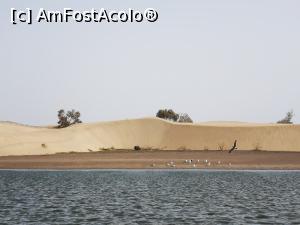 [P82] La Charca (un mic lac de acumulare) de Maspalomas » foto by crismis
 - 
<span class="allrVoted glyphicon glyphicon-heart hidden" id="av1286701"></span>
<a class="m-l-10 hidden" id="sv1286701" onclick="voting_Foto_DelVot(,1286701,13127)" role="button">șterge vot <span class="glyphicon glyphicon-remove"></span></a>
<a id="v91286701" class=" c-red"  onclick="voting_Foto_SetVot(1286701)" role="button"><span class="glyphicon glyphicon-heart-empty"></span> <b>LIKE</b> = Votează poza</a> <img class="hidden"  id="f1286701W9" src="/imagini/loader.gif" border="0" /><span class="AjErrMes hidden" id="e1286701ErM"></span>