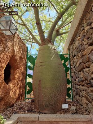 [P11] Cactualdea Park » foto by crismis
 - 
<span class="allrVoted glyphicon glyphicon-heart hidden" id="av1489442"></span>
<a class="m-l-10 hidden" id="sv1489442" onclick="voting_Foto_DelVot(,1489442,13127)" role="button">șterge vot <span class="glyphicon glyphicon-remove"></span></a>
<a id="v91489442" class=" c-red"  onclick="voting_Foto_SetVot(1489442)" role="button"><span class="glyphicon glyphicon-heart-empty"></span> <b>LIKE</b> = Votează poza</a> <img class="hidden"  id="f1489442W9" src="/imagini/loader.gif" border="0" /><span class="AjErrMes hidden" id="e1489442ErM"></span>