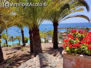 [P69] Anfi del Mar; coborând spre plajă prin parc » foto by crismis
 - 
<span class="allrVoted glyphicon glyphicon-heart hidden" id="av1489696"></span>
<a class="m-l-10 hidden" id="sv1489696" onclick="voting_Foto_DelVot(,1489696,13127)" role="button">șterge vot <span class="glyphicon glyphicon-remove"></span></a>
<a id="v91489696" class=" c-red"  onclick="voting_Foto_SetVot(1489696)" role="button"><span class="glyphicon glyphicon-heart-empty"></span> <b>LIKE</b> = Votează poza</a> <img class="hidden"  id="f1489696W9" src="/imagini/loader.gif" border="0" /><span class="AjErrMes hidden" id="e1489696ErM"></span>