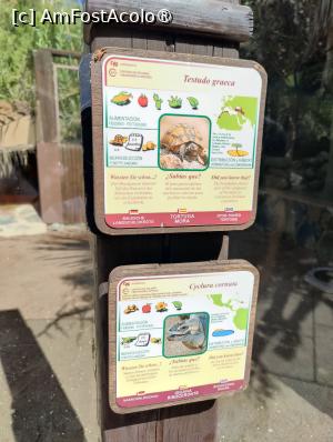 [P11] Palmitos Park; exemplu de panouri explicative » foto by crismis
 - 
<span class="allrVoted glyphicon glyphicon-heart hidden" id="av1490182"></span>
<a class="m-l-10 hidden" id="sv1490182" onclick="voting_Foto_DelVot(,1490182,13127)" role="button">șterge vot <span class="glyphicon glyphicon-remove"></span></a>
<a id="v91490182" class=" c-red"  onclick="voting_Foto_SetVot(1490182)" role="button"><span class="glyphicon glyphicon-heart-empty"></span> <b>LIKE</b> = Votează poza</a> <img class="hidden"  id="f1490182W9" src="/imagini/loader.gif" border="0" /><span class="AjErrMes hidden" id="e1490182ErM"></span>