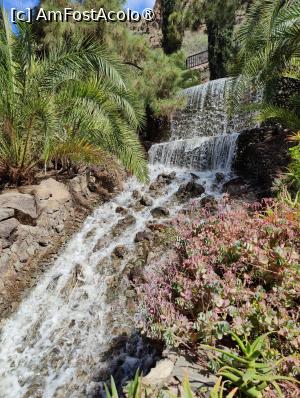 [P15] Palmitos Park; cascada din scuarul cu cafenea » foto by crismis
 - 
<span class="allrVoted glyphicon glyphicon-heart hidden" id="av1490186"></span>
<a class="m-l-10 hidden" id="sv1490186" onclick="voting_Foto_DelVot(,1490186,13127)" role="button">șterge vot <span class="glyphicon glyphicon-remove"></span></a>
<a id="v91490186" class=" c-red"  onclick="voting_Foto_SetVot(1490186)" role="button"><span class="glyphicon glyphicon-heart-empty"></span> <b>LIKE</b> = Votează poza</a> <img class="hidden"  id="f1490186W9" src="/imagini/loader.gif" border="0" /><span class="AjErrMes hidden" id="e1490186ErM"></span>
