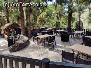 [P16] Palmitos Park; cafeneaua din scuar » foto by crismis
 - 
<span class="allrVoted glyphicon glyphicon-heart hidden" id="av1490187"></span>
<a class="m-l-10 hidden" id="sv1490187" onclick="voting_Foto_DelVot(,1490187,13127)" role="button">șterge vot <span class="glyphicon glyphicon-remove"></span></a>
<a id="v91490187" class=" c-red"  onclick="voting_Foto_SetVot(1490187)" role="button"><span class="glyphicon glyphicon-heart-empty"></span> <b>LIKE</b> = Votează poza</a> <img class="hidden"  id="f1490187W9" src="/imagini/loader.gif" border="0" /><span class="AjErrMes hidden" id="e1490187ErM"></span>