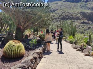 [P29] Palmitos Park; prin gradina de cactuși » foto by crismis
 - 
<span class="allrVoted glyphicon glyphicon-heart hidden" id="av1490200"></span>
<a class="m-l-10 hidden" id="sv1490200" onclick="voting_Foto_DelVot(,1490200,13127)" role="button">șterge vot <span class="glyphicon glyphicon-remove"></span></a>
<a id="v91490200" class=" c-red"  onclick="voting_Foto_SetVot(1490200)" role="button"><span class="glyphicon glyphicon-heart-empty"></span> <b>LIKE</b> = Votează poza</a> <img class="hidden"  id="f1490200W9" src="/imagini/loader.gif" border="0" /><span class="AjErrMes hidden" id="e1490200ErM"></span>