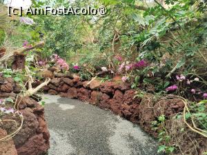 [P35] Palmitos Park; Casa Orhideelor » foto by crismis
 - 
<span class="allrVoted glyphicon glyphicon-heart hidden" id="av1490206"></span>
<a class="m-l-10 hidden" id="sv1490206" onclick="voting_Foto_DelVot(,1490206,13127)" role="button">șterge vot <span class="glyphicon glyphicon-remove"></span></a>
<a id="v91490206" class=" c-red"  onclick="voting_Foto_SetVot(1490206)" role="button"><span class="glyphicon glyphicon-heart-empty"></span> <b>LIKE</b> = Votează poza</a> <img class="hidden"  id="f1490206W9" src="/imagini/loader.gif" border="0" /><span class="AjErrMes hidden" id="e1490206ErM"></span>