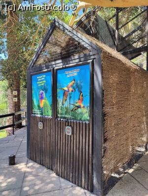 [P42] Palmitos Park; casa lui loris » foto by crismis
 - 
<span class="allrVoted glyphicon glyphicon-heart hidden" id="av1490213"></span>
<a class="m-l-10 hidden" id="sv1490213" onclick="voting_Foto_DelVot(,1490213,13127)" role="button">șterge vot <span class="glyphicon glyphicon-remove"></span></a>
<a id="v91490213" class=" c-red"  onclick="voting_Foto_SetVot(1490213)" role="button"><span class="glyphicon glyphicon-heart-empty"></span> <b>LIKE</b> = Votează poza</a> <img class="hidden"  id="f1490213W9" src="/imagini/loader.gif" border="0" /><span class="AjErrMes hidden" id="e1490213ErM"></span>