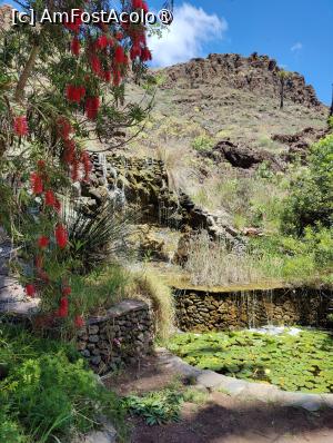 [P49] Palmitos Park; un mic iaz cu nuferi » foto by crismis
 - 
<span class="allrVoted glyphicon glyphicon-heart hidden" id="av1490220"></span>
<a class="m-l-10 hidden" id="sv1490220" onclick="voting_Foto_DelVot(,1490220,13127)" role="button">șterge vot <span class="glyphicon glyphicon-remove"></span></a>
<a id="v91490220" class=" c-red"  onclick="voting_Foto_SetVot(1490220)" role="button"><span class="glyphicon glyphicon-heart-empty"></span> <b>LIKE</b> = Votează poza</a> <img class="hidden"  id="f1490220W9" src="/imagini/loader.gif" border="0" /><span class="AjErrMes hidden" id="e1490220ErM"></span>