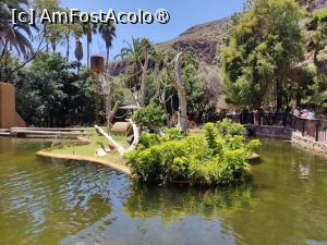 [P62] Palmitos Park; insula primatelor » foto by crismis
 - 
<span class="allrVoted glyphicon glyphicon-heart hidden" id="av1490233"></span>
<a class="m-l-10 hidden" id="sv1490233" onclick="voting_Foto_DelVot(,1490233,13127)" role="button">șterge vot <span class="glyphicon glyphicon-remove"></span></a>
<a id="v91490233" class=" c-red"  onclick="voting_Foto_SetVot(1490233)" role="button"><span class="glyphicon glyphicon-heart-empty"></span> <b>LIKE</b> = Votează poza</a> <img class="hidden"  id="f1490233W9" src="/imagini/loader.gif" border="0" /><span class="AjErrMes hidden" id="e1490233ErM"></span>