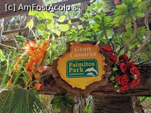 [P80] Palmitos Park » foto by crismis
 - 
<span class="allrVoted glyphicon glyphicon-heart hidden" id="av1490251"></span>
<a class="m-l-10 hidden" id="sv1490251" onclick="voting_Foto_DelVot(,1490251,13127)" role="button">șterge vot <span class="glyphicon glyphicon-remove"></span></a>
<a id="v91490251" class=" c-red"  onclick="voting_Foto_SetVot(1490251)" role="button"><span class="glyphicon glyphicon-heart-empty"></span> <b>LIKE</b> = Votează poza</a> <img class="hidden"  id="f1490251W9" src="/imagini/loader.gif" border="0" /><span class="AjErrMes hidden" id="e1490251ErM"></span>