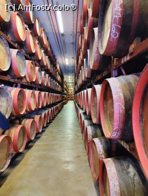 [P26] Arucas; distileria de rom » foto by crismis
 - 
<span class="allrVoted glyphicon glyphicon-heart hidden" id="av1490580"></span>
<a class="m-l-10 hidden" id="sv1490580" onclick="voting_Foto_DelVot(,1490580,13127)" role="button">șterge vot <span class="glyphicon glyphicon-remove"></span></a>
<a id="v91490580" class=" c-red"  onclick="voting_Foto_SetVot(1490580)" role="button"><span class="glyphicon glyphicon-heart-empty"></span> <b>LIKE</b> = Votează poza</a> <img class="hidden"  id="f1490580W9" src="/imagini/loader.gif" border="0" /><span class="AjErrMes hidden" id="e1490580ErM"></span>