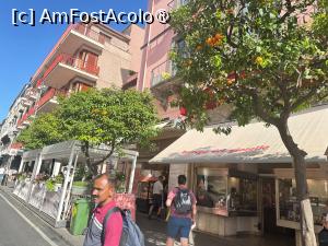 [P01] Portocali in Sorrento » foto by MaraMura
 - 
<span class="allrVoted glyphicon glyphicon-heart hidden" id="av1489016"></span>
<a class="m-l-10 hidden" id="sv1489016" onclick="voting_Foto_DelVot(,1489016,13144)" role="button">șterge vot <span class="glyphicon glyphicon-remove"></span></a>
<a id="v91489016" class=" c-red"  onclick="voting_Foto_SetVot(1489016)" role="button"><span class="glyphicon glyphicon-heart-empty"></span> <b>LIKE</b> = Votează poza</a> <img class="hidden"  id="f1489016W9" src="/imagini/loader.gif" border="0" /><span class="AjErrMes hidden" id="e1489016ErM"></span>