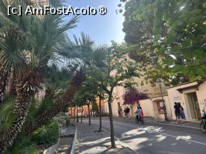 [P14] Prin Sorrento » foto by MaraMura
 - 
<span class="allrVoted glyphicon glyphicon-heart hidden" id="av1489029"></span>
<a class="m-l-10 hidden" id="sv1489029" onclick="voting_Foto_DelVot(,1489029,13144)" role="button">șterge vot <span class="glyphicon glyphicon-remove"></span></a>
<a id="v91489029" class=" c-red"  onclick="voting_Foto_SetVot(1489029)" role="button"><span class="glyphicon glyphicon-heart-empty"></span> <b>LIKE</b> = Votează poza</a> <img class="hidden"  id="f1489029W9" src="/imagini/loader.gif" border="0" /><span class="AjErrMes hidden" id="e1489029ErM"></span>