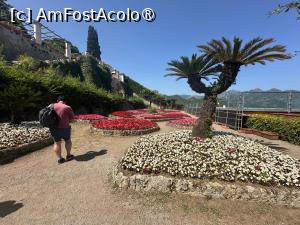 [P35] Ravello, Villa Rufolo » foto by MaraMura
 - 
<span class="allrVoted glyphicon glyphicon-heart hidden" id="av1489050"></span>
<a class="m-l-10 hidden" id="sv1489050" onclick="voting_Foto_DelVot(,1489050,13144)" role="button">șterge vot <span class="glyphicon glyphicon-remove"></span></a>
<a id="v91489050" class=" c-red"  onclick="voting_Foto_SetVot(1489050)" role="button"><span class="glyphicon glyphicon-heart-empty"></span> <b>LIKE</b> = Votează poza</a> <img class="hidden"  id="f1489050W9" src="/imagini/loader.gif" border="0" /><span class="AjErrMes hidden" id="e1489050ErM"></span>