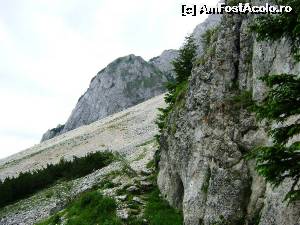 [P10] Marele Grohotis » foto by Testosu'
 - 
<span class="allrVoted glyphicon glyphicon-heart hidden" id="av524283"></span>
<a class="m-l-10 hidden" id="sv524283" onclick="voting_Foto_DelVot(,524283,13264)" role="button">șterge vot <span class="glyphicon glyphicon-remove"></span></a>
<a id="v9524283" class=" c-red"  onclick="voting_Foto_SetVot(524283)" role="button"><span class="glyphicon glyphicon-heart-empty"></span> <b>LIKE</b> = Votează poza</a> <img class="hidden"  id="f524283W9" src="/imagini/loader.gif" border="0" /><span class="AjErrMes hidden" id="e524283ErM"></span>