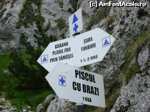 [P11] indicator de la Marele Grohotis » foto by Testosu'
 - 
<span class="allrVoted glyphicon glyphicon-heart hidden" id="av524284"></span>
<a class="m-l-10 hidden" id="sv524284" onclick="voting_Foto_DelVot(,524284,13264)" role="button">șterge vot <span class="glyphicon glyphicon-remove"></span></a>
<a id="v9524284" class=" c-red"  onclick="voting_Foto_SetVot(524284)" role="button"><span class="glyphicon glyphicon-heart-empty"></span> <b>LIKE</b> = Votează poza</a> <img class="hidden"  id="f524284W9" src="/imagini/loader.gif" border="0" /><span class="AjErrMes hidden" id="e524284ErM"></span>