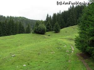 [P14]  -- <small>// FĂRĂ DESCRIERE</small> » foto by Testosu'
 - 
<span class="allrVoted glyphicon glyphicon-heart hidden" id="av524289"></span>
<a class="m-l-10 hidden" id="sv524289" onclick="voting_Foto_DelVot(,524289,13264)" role="button">șterge vot <span class="glyphicon glyphicon-remove"></span></a>
<a id="v9524289" class=" c-red"  onclick="voting_Foto_SetVot(524289)" role="button"><span class="glyphicon glyphicon-heart-empty"></span> <b>LIKE</b> = Votează poza</a> <img class="hidden"  id="f524289W9" src="/imagini/loader.gif" border="0" /><span class="AjErrMes hidden" id="e524289ErM"></span>