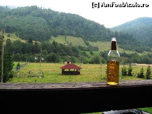 [P19]  -- <small>// FĂRĂ DESCRIERE</small> » foto by Testosu'
 - 
<span class="allrVoted glyphicon glyphicon-heart hidden" id="av524328"></span>
<a class="m-l-10 hidden" id="sv524328" onclick="voting_Foto_DelVot(,524328,13264)" role="button">șterge vot <span class="glyphicon glyphicon-remove"></span></a>
<a id="v9524328" class=" c-red"  onclick="voting_Foto_SetVot(524328)" role="button"><span class="glyphicon glyphicon-heart-empty"></span> <b>LIKE</b> = Votează poza</a> <img class="hidden"  id="f524328W9" src="/imagini/loader.gif" border="0" /><span class="AjErrMes hidden" id="e524328ErM"></span>