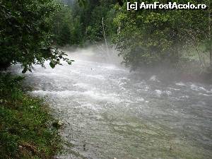 [P20] Raul Dambovita in Satic » foto by Testosu'
 - 
<span class="allrVoted glyphicon glyphicon-heart hidden" id="av524329"></span>
<a class="m-l-10 hidden" id="sv524329" onclick="voting_Foto_DelVot(,524329,13264)" role="button">șterge vot <span class="glyphicon glyphicon-remove"></span></a>
<a id="v9524329" class=" c-red"  onclick="voting_Foto_SetVot(524329)" role="button"><span class="glyphicon glyphicon-heart-empty"></span> <b>LIKE</b> = Votează poza</a> <img class="hidden"  id="f524329W9" src="/imagini/loader.gif" border="0" /><span class="AjErrMes hidden" id="e524329ErM"></span>