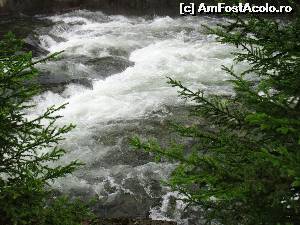 [P22] Dambovita » foto by Testosu'
 - 
<span class="allrVoted glyphicon glyphicon-heart hidden" id="av524332"></span>
<a class="m-l-10 hidden" id="sv524332" onclick="voting_Foto_DelVot(,524332,13264)" role="button">șterge vot <span class="glyphicon glyphicon-remove"></span></a>
<a id="v9524332" class=" c-red"  onclick="voting_Foto_SetVot(524332)" role="button"><span class="glyphicon glyphicon-heart-empty"></span> <b>LIKE</b> = Votează poza</a> <img class="hidden"  id="f524332W9" src="/imagini/loader.gif" border="0" /><span class="AjErrMes hidden" id="e524332ErM"></span>