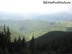 [P29] Jos, departe, in vale 'se vede' (de fapt un mic punct rosu) Cabana Garofita Pietrei Craiului » foto by Testosu'
 - 
<span class="allrVoted glyphicon glyphicon-heart hidden" id="av524340"></span>
<a class="m-l-10 hidden" id="sv524340" onclick="voting_Foto_DelVot(,524340,13264)" role="button">șterge vot <span class="glyphicon glyphicon-remove"></span></a>
<a id="v9524340" class=" c-red"  onclick="voting_Foto_SetVot(524340)" role="button"><span class="glyphicon glyphicon-heart-empty"></span> <b>LIKE</b> = Votează poza</a> <img class="hidden"  id="f524340W9" src="/imagini/loader.gif" border="0" /><span class="AjErrMes hidden" id="e524340ErM"></span>