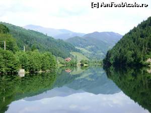 [P03] Barajul (stavilarul) de la Satic, ca o oglinda pentru natura inconjuratoare » foto by Testosu'
 - 
<span class="allrVoted glyphicon glyphicon-heart hidden" id="av524270"></span>
<a class="m-l-10 hidden" id="sv524270" onclick="voting_Foto_DelVot(,524270,13264)" role="button">șterge vot <span class="glyphicon glyphicon-remove"></span></a>
<a id="v9524270" class=" c-red"  onclick="voting_Foto_SetVot(524270)" role="button"><span class="glyphicon glyphicon-heart-empty"></span> <b>LIKE</b> = Votează poza</a> <img class="hidden"  id="f524270W9" src="/imagini/loader.gif" border="0" /><span class="AjErrMes hidden" id="e524270ErM"></span>