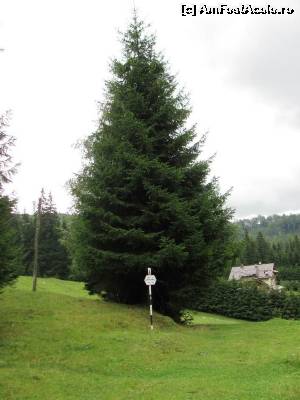 [P05] Cabana Valea lui Ivan » foto by Testosu'
 - 
<span class="allrVoted glyphicon glyphicon-heart hidden" id="av524274"></span>
<a class="m-l-10 hidden" id="sv524274" onclick="voting_Foto_DelVot(,524274,13264)" role="button">șterge vot <span class="glyphicon glyphicon-remove"></span></a>
<a id="v9524274" class=" c-red"  onclick="voting_Foto_SetVot(524274)" role="button"><span class="glyphicon glyphicon-heart-empty"></span> <b>LIKE</b> = Votează poza</a> <img class="hidden"  id="f524274W9" src="/imagini/loader.gif" border="0" /><span class="AjErrMes hidden" id="e524274ErM"></span>