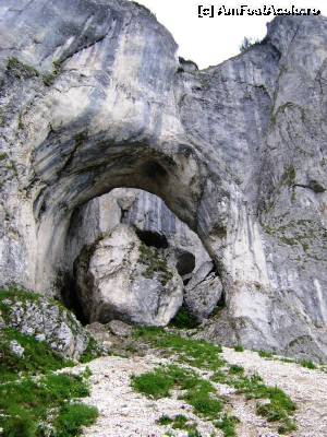 [P08] Cerdacul Stanciului » foto by Testosu'
 - 
<span class="allrVoted glyphicon glyphicon-heart hidden" id="av524279"></span>
<a class="m-l-10 hidden" id="sv524279" onclick="voting_Foto_DelVot(,524279,13264)" role="button">șterge vot <span class="glyphicon glyphicon-remove"></span></a>
<a id="v9524279" class=" c-red"  onclick="voting_Foto_SetVot(524279)" role="button"><span class="glyphicon glyphicon-heart-empty"></span> <b>LIKE</b> = Votează poza</a> <img class="hidden"  id="f524279W9" src="/imagini/loader.gif" border="0" /><span class="AjErrMes hidden" id="e524279ErM"></span>