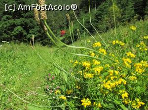 [P13]  -- <small>// FĂRĂ DESCRIERE</small> » foto by Testosu'
 - 
<span class="allrVoted glyphicon glyphicon-heart hidden" id="av756264"></span>
<a class="m-l-10 hidden" id="sv756264" onclick="voting_Foto_DelVot(,756264,13264)" role="button">șterge vot <span class="glyphicon glyphicon-remove"></span></a>
<a id="v9756264" class=" c-red"  onclick="voting_Foto_SetVot(756264)" role="button"><span class="glyphicon glyphicon-heart-empty"></span> <b>LIKE</b> = Votează poza</a> <img class="hidden"  id="f756264W9" src="/imagini/loader.gif" border="0" /><span class="AjErrMes hidden" id="e756264ErM"></span>