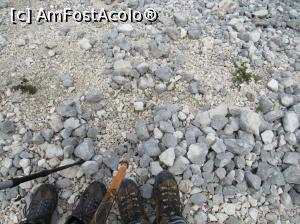 [P16]  -- <small>// FĂRĂ DESCRIERE</small> » foto by Testosu'
 - 
<span class="allrVoted glyphicon glyphicon-heart hidden" id="av756267"></span>
<a class="m-l-10 hidden" id="sv756267" onclick="voting_Foto_DelVot(,756267,13264)" role="button">șterge vot <span class="glyphicon glyphicon-remove"></span></a>
<a id="v9756267" class=" c-red"  onclick="voting_Foto_SetVot(756267)" role="button"><span class="glyphicon glyphicon-heart-empty"></span> <b>LIKE</b> = Votează poza</a> <img class="hidden"  id="f756267W9" src="/imagini/loader.gif" border="0" /><span class="AjErrMes hidden" id="e756267ErM"></span>