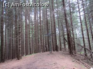 [P23] Crucea Granicerului » foto by Testosu'
 - 
<span class="allrVoted glyphicon glyphicon-heart hidden" id="av756274"></span>
<a class="m-l-10 hidden" id="sv756274" onclick="voting_Foto_DelVot(,756274,13264)" role="button">șterge vot <span class="glyphicon glyphicon-remove"></span></a>
<a id="v9756274" class=" c-red"  onclick="voting_Foto_SetVot(756274)" role="button"><span class="glyphicon glyphicon-heart-empty"></span> <b>LIKE</b> = Votează poza</a> <img class="hidden"  id="f756274W9" src="/imagini/loader.gif" border="0" /><span class="AjErrMes hidden" id="e756274ErM"></span>