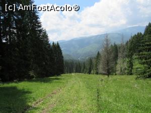 [P24]  -- <small>// FĂRĂ DESCRIERE</small> » foto by Testosu'
 - 
<span class="allrVoted glyphicon glyphicon-heart hidden" id="av756276"></span>
<a class="m-l-10 hidden" id="sv756276" onclick="voting_Foto_DelVot(,756276,13264)" role="button">șterge vot <span class="glyphicon glyphicon-remove"></span></a>
<a id="v9756276" class=" c-red"  onclick="voting_Foto_SetVot(756276)" role="button"><span class="glyphicon glyphicon-heart-empty"></span> <b>LIKE</b> = Votează poza</a> <img class="hidden"  id="f756276W9" src="/imagini/loader.gif" border="0" /><span class="AjErrMes hidden" id="e756276ErM"></span>