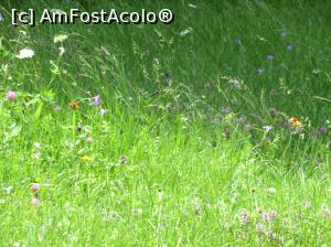 [P25]  -- <small>// FĂRĂ DESCRIERE</small> » foto by Testosu'
 - 
<span class="allrVoted glyphicon glyphicon-heart hidden" id="av756277"></span>
<a class="m-l-10 hidden" id="sv756277" onclick="voting_Foto_DelVot(,756277,13264)" role="button">șterge vot <span class="glyphicon glyphicon-remove"></span></a>
<a id="v9756277" class=" c-red"  onclick="voting_Foto_SetVot(756277)" role="button"><span class="glyphicon glyphicon-heart-empty"></span> <b>LIKE</b> = Votează poza</a> <img class="hidden"  id="f756277W9" src="/imagini/loader.gif" border="0" /><span class="AjErrMes hidden" id="e756277ErM"></span>