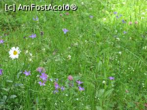 [P29]  -- <small>// FĂRĂ DESCRIERE</small> » foto by Testosu'
 - 
<span class="allrVoted glyphicon glyphicon-heart hidden" id="av756282"></span>
<a class="m-l-10 hidden" id="sv756282" onclick="voting_Foto_DelVot(,756282,13264)" role="button">șterge vot <span class="glyphicon glyphicon-remove"></span></a>
<a id="v9756282" class=" c-red"  onclick="voting_Foto_SetVot(756282)" role="button"><span class="glyphicon glyphicon-heart-empty"></span> <b>LIKE</b> = Votează poza</a> <img class="hidden"  id="f756282W9" src="/imagini/loader.gif" border="0" /><span class="AjErrMes hidden" id="e756282ErM"></span>