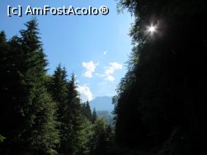 [P03]  -- <small>// FĂRĂ DESCRIERE</small> » foto by Testosu'
 - 
<span class="allrVoted glyphicon glyphicon-heart hidden" id="av756254"></span>
<a class="m-l-10 hidden" id="sv756254" onclick="voting_Foto_DelVot(,756254,13264)" role="button">șterge vot <span class="glyphicon glyphicon-remove"></span></a>
<a id="v9756254" class=" c-red"  onclick="voting_Foto_SetVot(756254)" role="button"><span class="glyphicon glyphicon-heart-empty"></span> <b>LIKE</b> = Votează poza</a> <img class="hidden"  id="f756254W9" src="/imagini/loader.gif" border="0" /><span class="AjErrMes hidden" id="e756254ErM"></span>