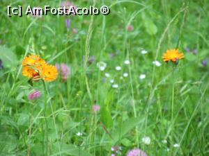 [P30]  -- <small>// FĂRĂ DESCRIERE</small> » foto by Testosu'
 - 
<span class="allrVoted glyphicon glyphicon-heart hidden" id="av756283"></span>
<a class="m-l-10 hidden" id="sv756283" onclick="voting_Foto_DelVot(,756283,13264)" role="button">șterge vot <span class="glyphicon glyphicon-remove"></span></a>
<a id="v9756283" class=" c-red"  onclick="voting_Foto_SetVot(756283)" role="button"><span class="glyphicon glyphicon-heart-empty"></span> <b>LIKE</b> = Votează poza</a> <img class="hidden"  id="f756283W9" src="/imagini/loader.gif" border="0" /><span class="AjErrMes hidden" id="e756283ErM"></span>