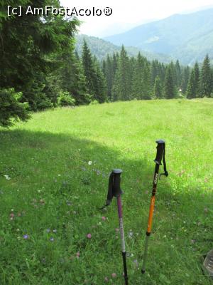 [P31]  -- <small>// FĂRĂ DESCRIERE</small> » foto by Testosu'
 - 
<span class="allrVoted glyphicon glyphicon-heart hidden" id="av756284"></span>
<a class="m-l-10 hidden" id="sv756284" onclick="voting_Foto_DelVot(,756284,13264)" role="button">șterge vot <span class="glyphicon glyphicon-remove"></span></a>
<a id="v9756284" class=" c-red"  onclick="voting_Foto_SetVot(756284)" role="button"><span class="glyphicon glyphicon-heart-empty"></span> <b>LIKE</b> = Votează poza</a> <img class="hidden"  id="f756284W9" src="/imagini/loader.gif" border="0" /><span class="AjErrMes hidden" id="e756284ErM"></span>