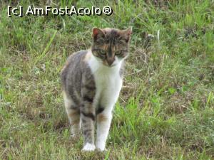 [P32]  -- <small>// FĂRĂ DESCRIERE</small> » foto by Testosu'
 - 
<span class="allrVoted glyphicon glyphicon-heart hidden" id="av756285"></span>
<a class="m-l-10 hidden" id="sv756285" onclick="voting_Foto_DelVot(,756285,13264)" role="button">șterge vot <span class="glyphicon glyphicon-remove"></span></a>
<a id="v9756285" class=" c-red"  onclick="voting_Foto_SetVot(756285)" role="button"><span class="glyphicon glyphicon-heart-empty"></span> <b>LIKE</b> = Votează poza</a> <img class="hidden"  id="f756285W9" src="/imagini/loader.gif" border="0" /><span class="AjErrMes hidden" id="e756285ErM"></span>