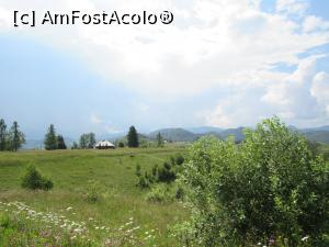 [P41]  -- <small>// FĂRĂ DESCRIERE</small> » foto by Testosu'
 - 
<span class="allrVoted glyphicon glyphicon-heart hidden" id="av756295"></span>
<a class="m-l-10 hidden" id="sv756295" onclick="voting_Foto_DelVot(,756295,13264)" role="button">șterge vot <span class="glyphicon glyphicon-remove"></span></a>
<a id="v9756295" class=" c-red"  onclick="voting_Foto_SetVot(756295)" role="button"><span class="glyphicon glyphicon-heart-empty"></span> <b>LIKE</b> = Votează poza</a> <img class="hidden"  id="f756295W9" src="/imagini/loader.gif" border="0" /><span class="AjErrMes hidden" id="e756295ErM"></span>