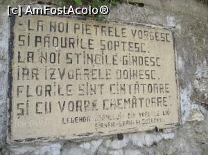 [P42] in Sirnea » foto by Testosu'
 - 
<span class="allrVoted glyphicon glyphicon-heart hidden" id="av756296"></span>
<a class="m-l-10 hidden" id="sv756296" onclick="voting_Foto_DelVot(,756296,13264)" role="button">șterge vot <span class="glyphicon glyphicon-remove"></span></a>
<a id="v9756296" class=" c-red"  onclick="voting_Foto_SetVot(756296)" role="button"><span class="glyphicon glyphicon-heart-empty"></span> <b>LIKE</b> = Votează poza</a> <img class="hidden"  id="f756296W9" src="/imagini/loader.gif" border="0" /><span class="AjErrMes hidden" id="e756296ErM"></span>