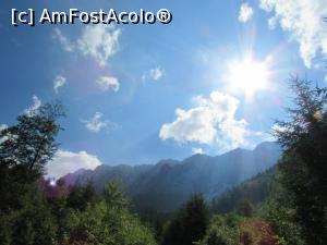 [P06]  -- <small>// FĂRĂ DESCRIERE</small> » foto by Testosu'
 - 
<span class="allrVoted glyphicon glyphicon-heart hidden" id="av756257"></span>
<a class="m-l-10 hidden" id="sv756257" onclick="voting_Foto_DelVot(,756257,13264)" role="button">șterge vot <span class="glyphicon glyphicon-remove"></span></a>
<a id="v9756257" class=" c-red"  onclick="voting_Foto_SetVot(756257)" role="button"><span class="glyphicon glyphicon-heart-empty"></span> <b>LIKE</b> = Votează poza</a> <img class="hidden"  id="f756257W9" src="/imagini/loader.gif" border="0" /><span class="AjErrMes hidden" id="e756257ErM"></span>