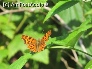 [P07]  -- <small>// FĂRĂ DESCRIERE</small> » foto by Testosu'
 - 
<span class="allrVoted glyphicon glyphicon-heart hidden" id="av756258"></span>
<a class="m-l-10 hidden" id="sv756258" onclick="voting_Foto_DelVot(,756258,13264)" role="button">șterge vot <span class="glyphicon glyphicon-remove"></span></a>
<a id="v9756258" class=" c-red"  onclick="voting_Foto_SetVot(756258)" role="button"><span class="glyphicon glyphicon-heart-empty"></span> <b>LIKE</b> = Votează poza</a> <img class="hidden"  id="f756258W9" src="/imagini/loader.gif" border="0" /><span class="AjErrMes hidden" id="e756258ErM"></span>